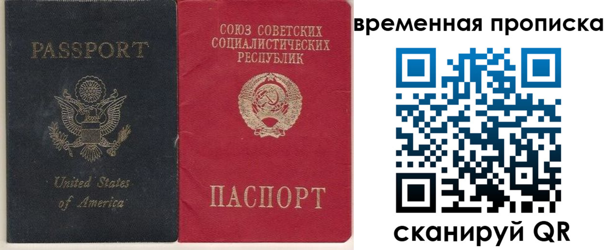 прописка для школы в Мордовии